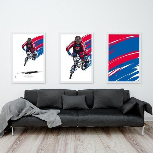 BMX LEGEND ARTWORKS BOUL